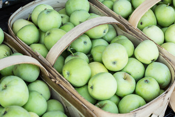 Baskets of Green Apples at Farmers Market Asheville North Carolina