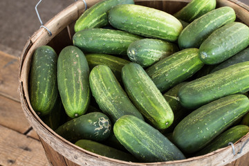 Bushel of Cucumbers At Farmers Market