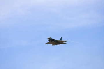 Air show