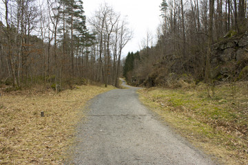 Walking path through a forest in southern Norway. Early spring colored forest.