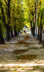 Autumn in the park, Lviv, Ukraine
