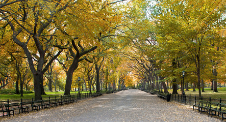 Fototapeta premium Central Park, New York. Beautiful park in beautiful city.