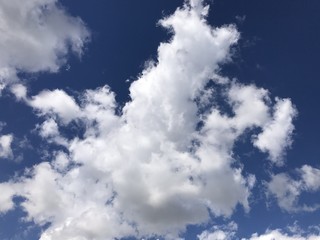 Beautiful clouds are moving against the blue sky