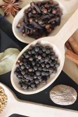 spices and herbs, spice, herb, pepper, garlic, mustard, clove, allspice, nutmeg, anise, anise star seed, chili, dried chilis, bay leaf, cinnamon, 