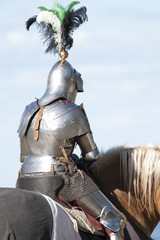 Medieval Knight