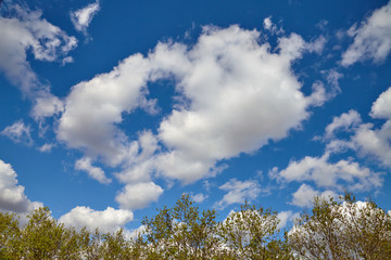 Obraz premium Beautiful clouds are moving against the blue sky