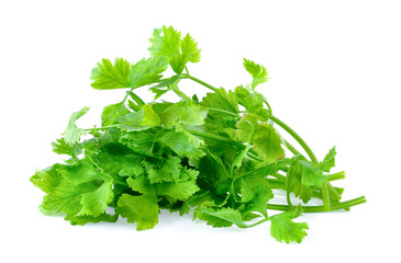 celery on white background