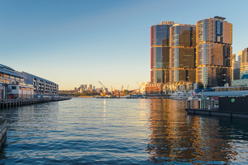 Fototapeta premium Sydney Cityscape