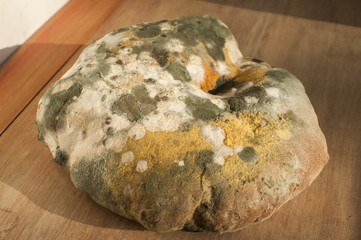 Moldy and musty round wheat bread on wooden top background