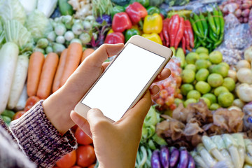 woman using mock up blank screen smart phone with vegetable background.