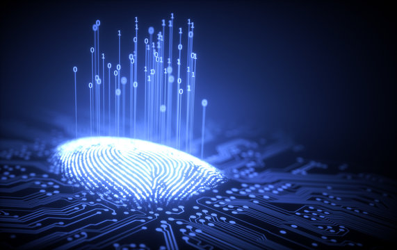 Fingerprint Binary Microchip