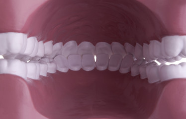 Teeth model inside of mouth