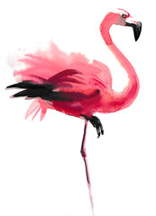 Watercolor flamingo - obrazy, fototapety, plakaty