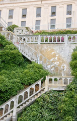 Concrete stairs with shrubs on both sides.