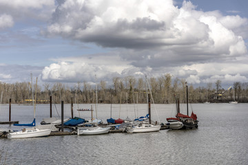 Fototapeta na wymiar Sailboats moored on the Willamette river Oregon.
