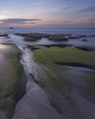 Beautiful sunset scenery with mossy rock.