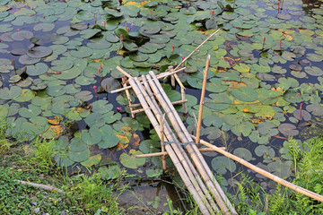 Lotus pond and old small bamboo wood bridge