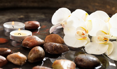 Orchids and pebbles in water background