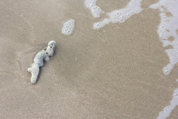 Close up shot of coral sand with soft focus wave.