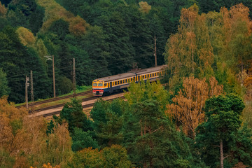Fototapeta premium Passenger electric train moving through the forest in Riga