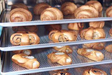 Dessert bread baking in Combi steamer. Production oven at the bakery. Baking bread. Manufacture of...