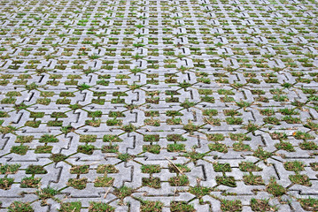 Grass-planting bricks parking lot
