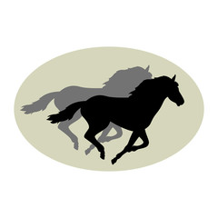 horse vector illustration black silhouette