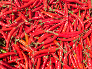 Red chili in organic farmer market