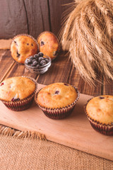 Muffins on wooden background on rustic style. Cupcake with currant
