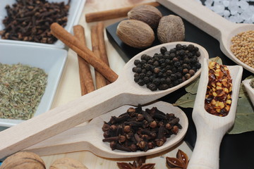 spices and herbs, spice, herb, pepper, garlic, mustard, clove, allspice, nutmeg, anise, anise star seed, chili, dried chilis, bay leaf, cinnamon, 