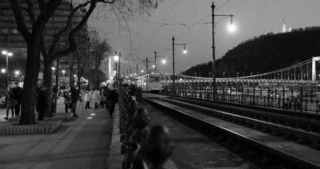 Black and white picture of night Budapest city centre