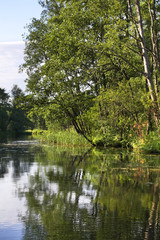 Rospuda river near Augustow. Poland