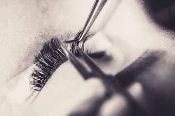 Beautician making artificial lashes. eyelash extension procedure - obrazy, fototapety, plakaty