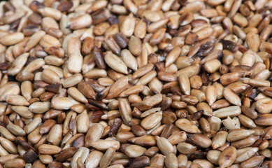 Overcooked peeled sunflower seeds