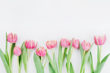 Pink tulip flowers for spring background top view in flat lay style with clean space for text. Greeting for Woman or Mother Day.