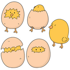 vector set of chick