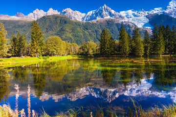 Les Alpes et les sapins se reflètent dans le lac