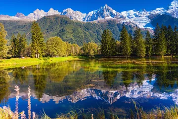 Gordijnen Alpen en sparren worden weerspiegeld in het meer © Kushnirov Avraham