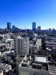 Omotesando/Tokyo,Japan