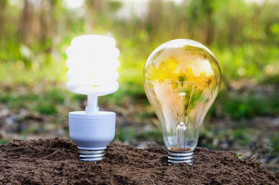 turn on bulb in nature concept eco light