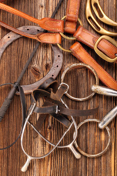 Set of horse equipment on wooden background