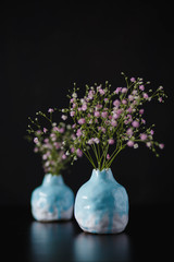 two blue ceramic vase with pink gypsophila on a black background