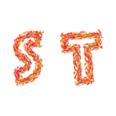 The letters S, T made of autumn leaves