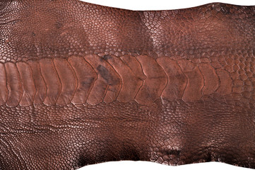 Ostrich leg leather