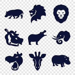 Set of 9 safari filled icons