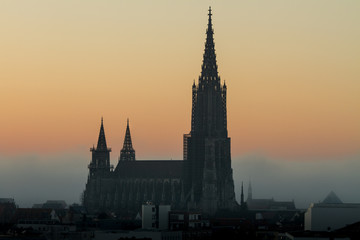 Naklejka premium Ulmer Münster
