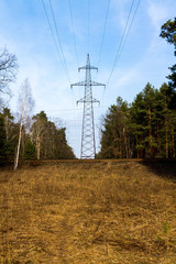 The high-voltage pole in the forest. Line current transfer