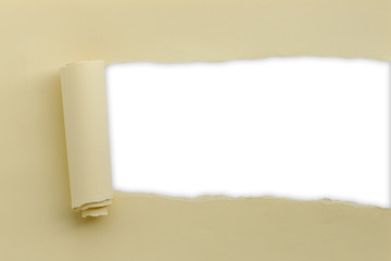 Torn paper white background