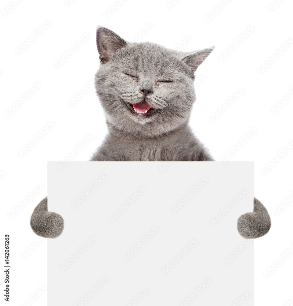 Poster Smiling cat holding a white banner. isolated on white background