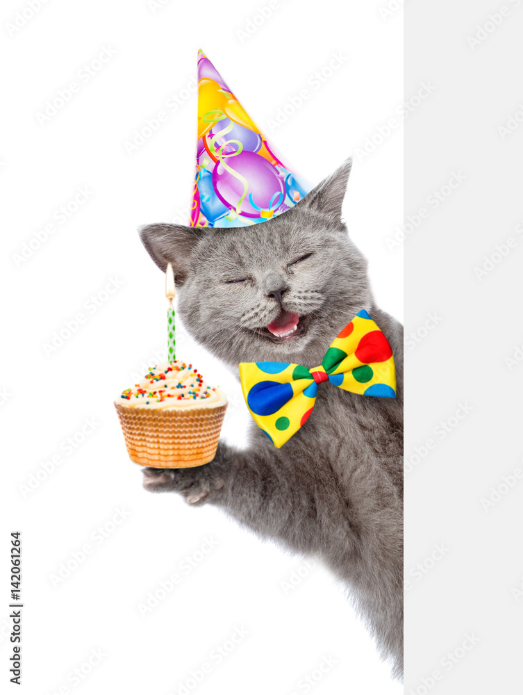 Poster Happy cat in birthday hat with cupcake holding a pointing stick and points on empty banner. isolated on white background
